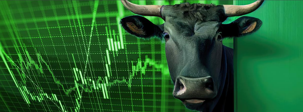 Investor Psychology During Bull Markets